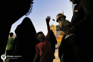 نمایشگاه عکس آرام جان