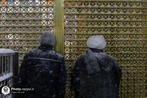 بارش برف پاییزی در حرم مطهر رضوی