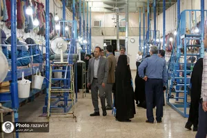 بازدید کارکنان آستان قدس رضوی از شرکت فرش و آرایه&zwnj;های رضوی