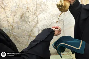 دال مثل دست
