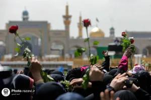 گلباران حرم مطهر رضوی در روز میلاد حضرت معصومه سلام الله علیها