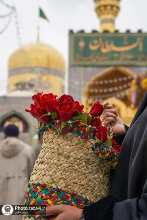 حال و هوای حرم مطهر رضوی در شب میلاد امام رضا علیه&zwnj;السلام -2