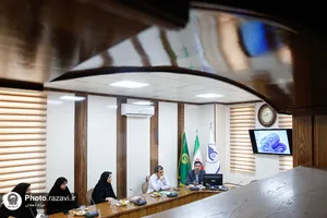 دانشگاه