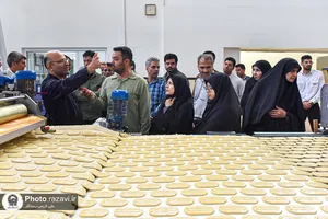 بازدید