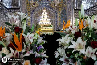 حرم امام رضا علیه السلام غرق در جشن و شادی مولود کعبه