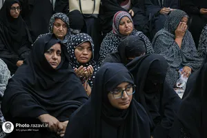 نشست تخصصی اردو&zwnj;زبانان در رواق ملل حرم مطهر رضوی