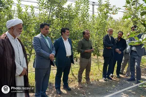 بازدید کارکنان آستان قدس رضوی از مزرعه نمونه