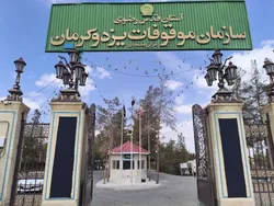 از نیروگاه خورشیدی عنبرآباد تا آبیاری نوین در دل کویر