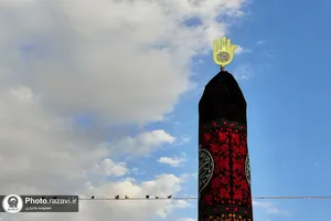 ارادت عزاداران حسینی در حرم رضوی