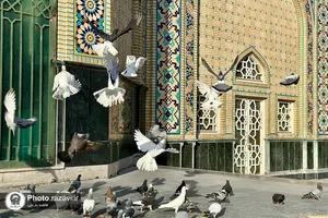 حال و هوای حرم مطهر رضوی در روز عید غدیر