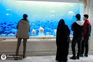 تشرف هیئات مذهبی دانش&zwnj;آموزی به حرم مطهر رضوی