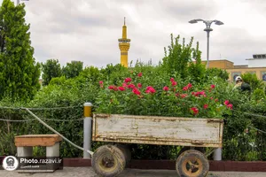 حال و هوای حرم مطهر رضوی در شب میلاد امام رضا علیه&zwnj;السلام -2