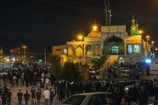 عاشقان امام رضا (ع) هم پیمان راه ولایت در دشتستان