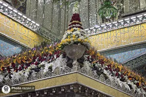 گل آرایی ضریح مطهر رضوی در شب نیمه شعبان