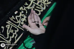 آماده سازی پوش ضریح مطهر رضوی به مناسبت ماه محرم