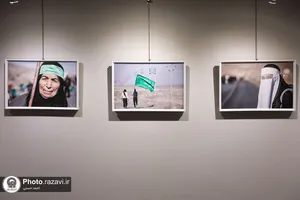 نمایشگاه عکس &laquo;مثل آهوها&raquo;