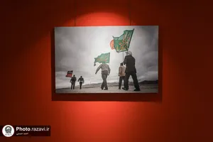 نمایشگاه عکس &laquo;مثل آهوها&raquo;