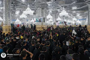 همایش &laquo;نوگلان فاطمی&raquo; در حرم مطهر رضوی
