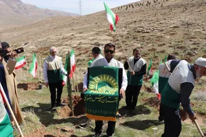 غرس هزاران درخت در شیراز از سوی خادم&zwnj;یاران رضوی/گزارش تصویری
