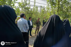بازدید کارکنان آستان قدس رضوی از مزرعه نمونه