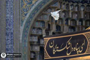 عزاداری روز شهادت امام رضا علیه&zwnj;السلام در حرم مطهر رضوی-1