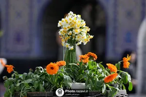آماده سازی حرم مطهر رضوی در آستانه میلاد جوادالائمه علیه&zwnj;السلام