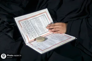 اسکان زائرین حضرت رضا علیه&zwnj;السلام در طرح دارالکرامه - باغ خاتون