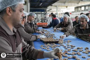 بازدید کارکنان آستان قدس رضوی از شرکت صنایع غذایی رضوی