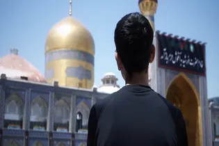 بهترین همسایه