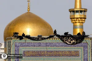 سیاه&zwnj;پوشی حرم مطهر رضوی به مناسبت شهادت امام هادی علیه&zwnj;السلام
