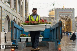 گل آرایی عیدانه حرم مطهر رضوی