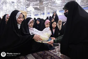 نبات