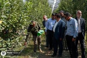 بازدید کارکنان آستان قدس رضوی از مزرعه نمونه