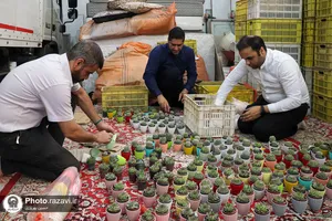جشن بزرگ امام رضایی&zwnj;ها - 1