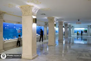 گنجینه آبزیان موزه مرکزی آستان قدس رضوی