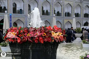 حال و هوای حرم مطهر رضوی در شب مبعث