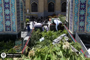 آماده سازی گل&zwnj;آرایی حرم مطهر رضوی در دهه کرامت