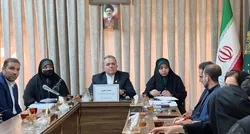 ۳۵۰۰ خادم‌یار در تبریز مشغول به خدمت‌رسانی هستند