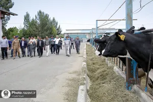 بازدید مسئولان روابط عمومی&zwnj;های آستان از موقوفات ملک در چناران