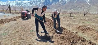 توزیع هزار نهال مثمر توسط کانون‌های خدمت رضوی اصفهان در لبیک به فرامین نوروزی رهبر انقلاب