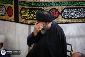 تشرف اعضای هیأت علمی دانشگاه&zwnj;های مشهد به حرم مطهر رضوی