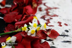 غبارروبی گلزار شهدای مدفون در حرم مطهر رضوی-2
