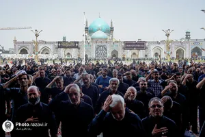 اجتماع عزاداران رضوی در حرم امام رضا علیه&zwnj;السلام