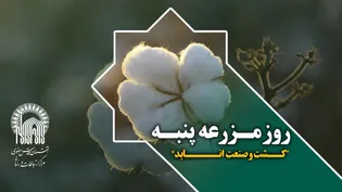 روز پنبه کشت و صنعت انابد