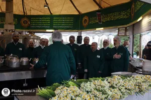 توزیع گل نرگس در چایخانه حرم مطهر رضوی