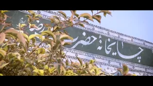چشاندن طعم شیرین چای به کام زائران حرم مطهر در قالب نذر چایخانه