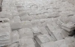خادمیاران جیرفت خدمتگزار سیدالشهدا شدند
