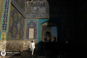 نور باشد سایه ای در پای دیوار شما
