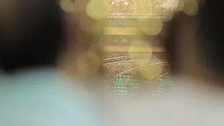 روایتی از خدمات آستان قدس رضوی به زائرین غیر ایرانی در حرم رضوی