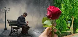 از پخت غذا تا طنین صلوات خاصه در سرای سالمندان همدان